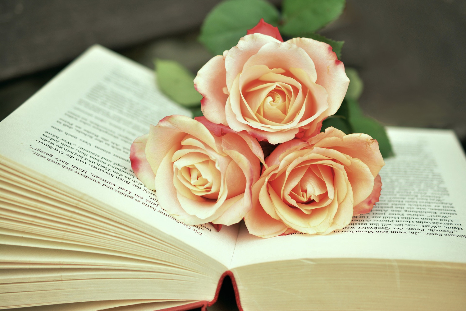 Buch mit drei Blumen