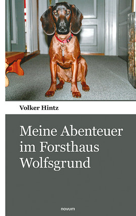 Sexuelle Gewalt – besondere Problematiken Cover: Sexuelle Gewalt – besondere Problematiken