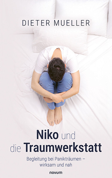 Cover: Niko und die Traumwerkstatt
