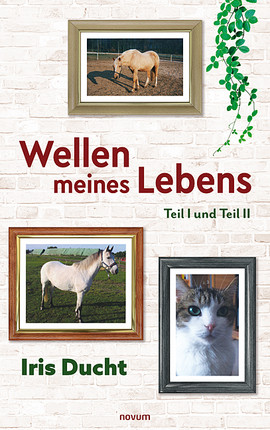 Ein Weg durch die Hölle Cover: Ein Weg durch die Hölle