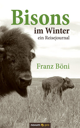 Bisons im Winter