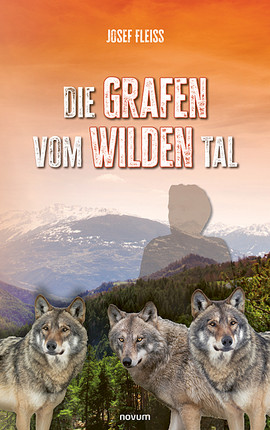 Cover: Die Grafen vom Wilden Tal