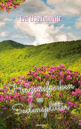 Herzensfunken und Seelensplitter Cover: Herzensfunken und Seelensplitter