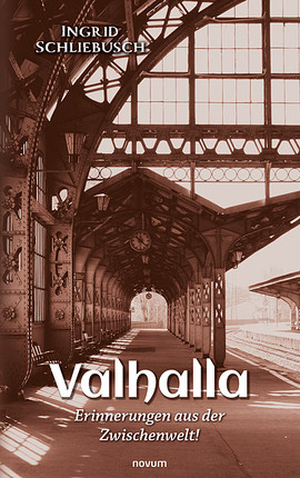 Valhalla – Erinnerungen aus der Zwischenwelt! Cover: Valhalla – Erinnerungen aus der Zwischenwelt!