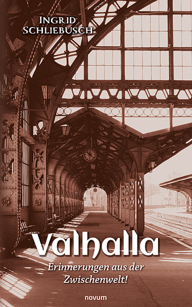 Valhalla – Erinnerungen aus der Zwischenwelt! Cover: Valhalla – Erinnerungen aus der Zwischenwelt!