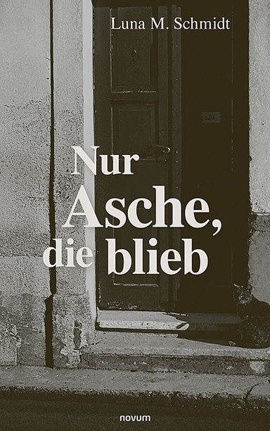 Cover: Nur Asche, die blieb
