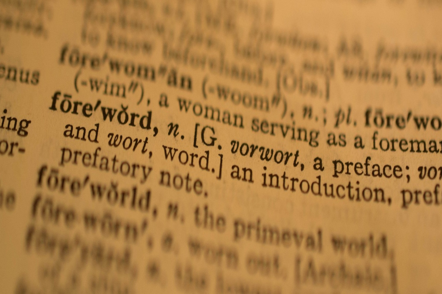 Vorwort texte aus Wörterbuch