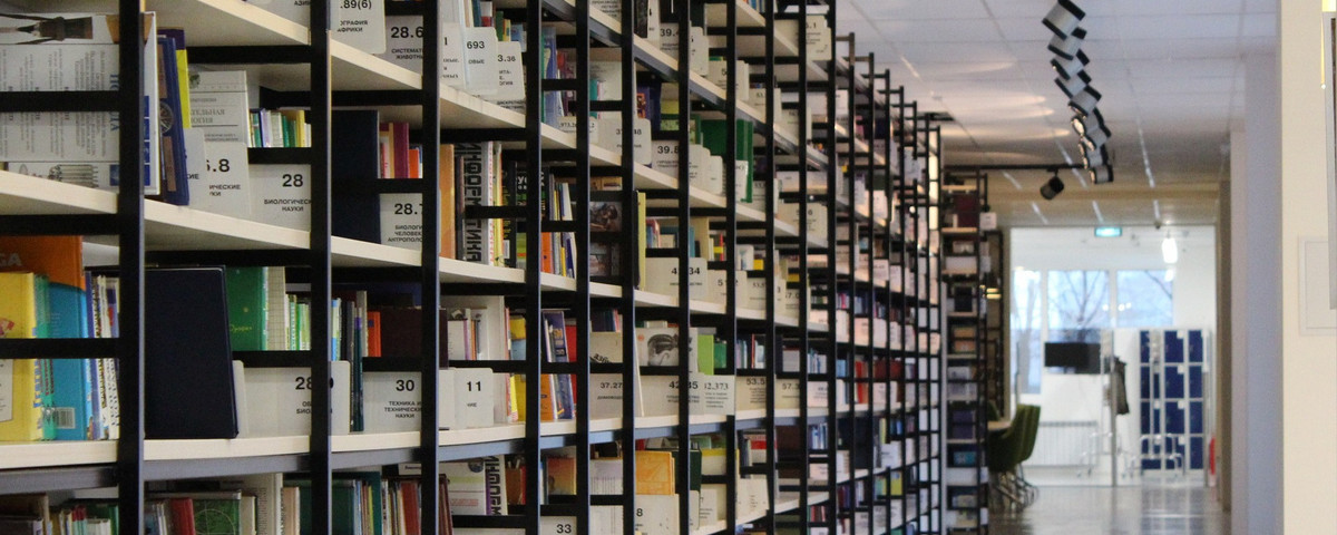 Eigenes Buch veröffentlichen - Bücher Bibliothek Regal