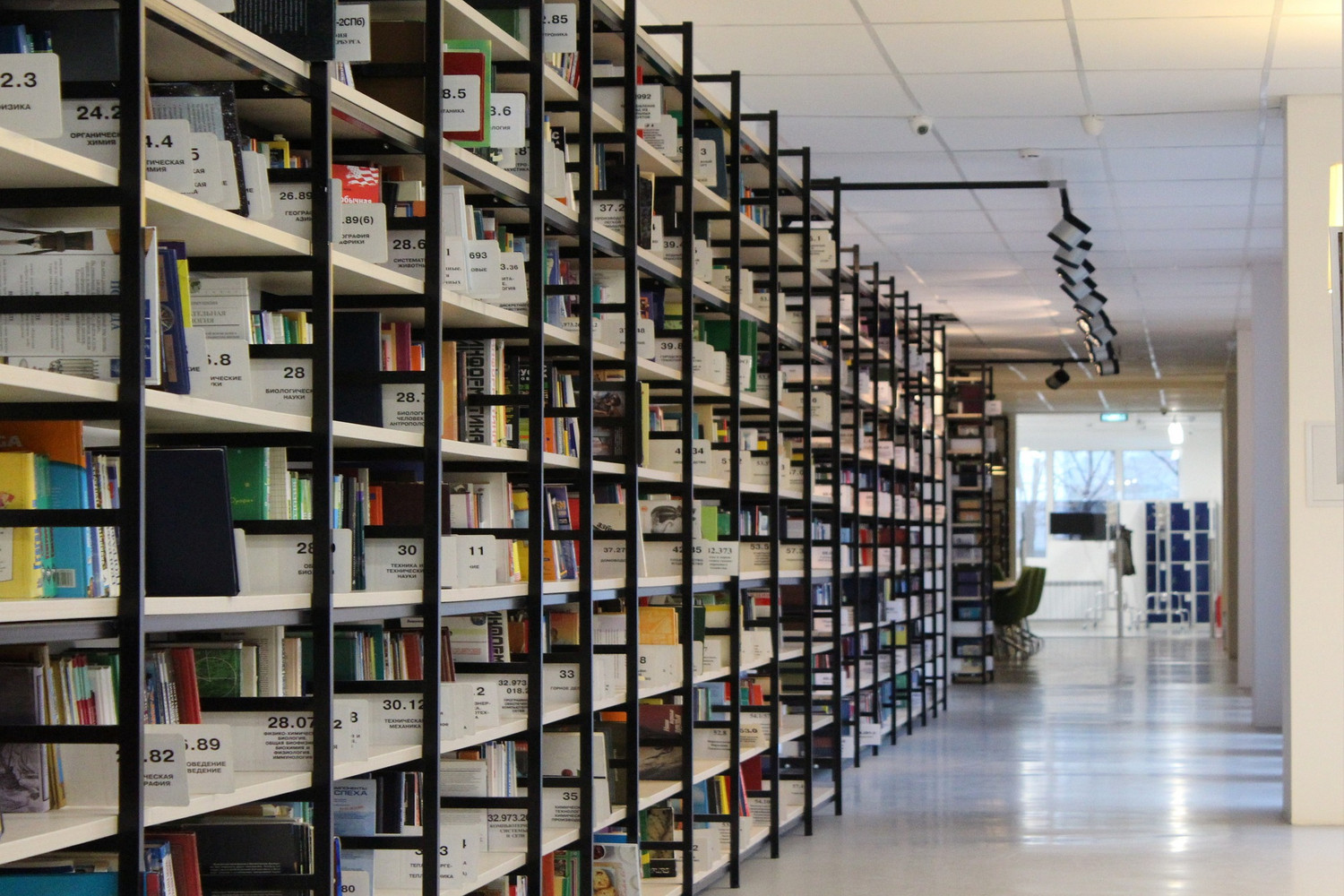 Eigenes Buch veröffentlichen - Bücher Bibliothek Regal