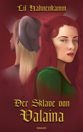 Cover: Der Sklave von Valaina