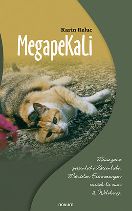 MegapeKaLi Cover: MegapeKaLi