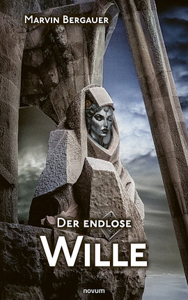 Cover: Der endlose Wille