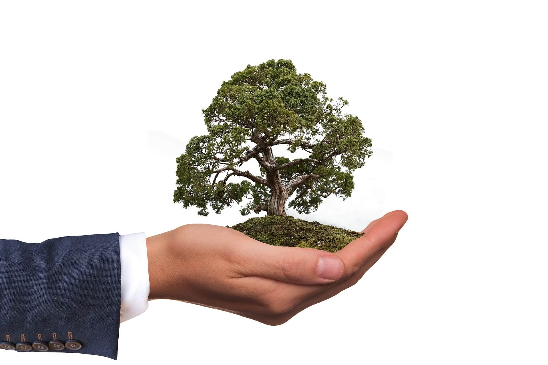 Hausdruckerei - Umweltschutz - Hand mit Erde und Baum