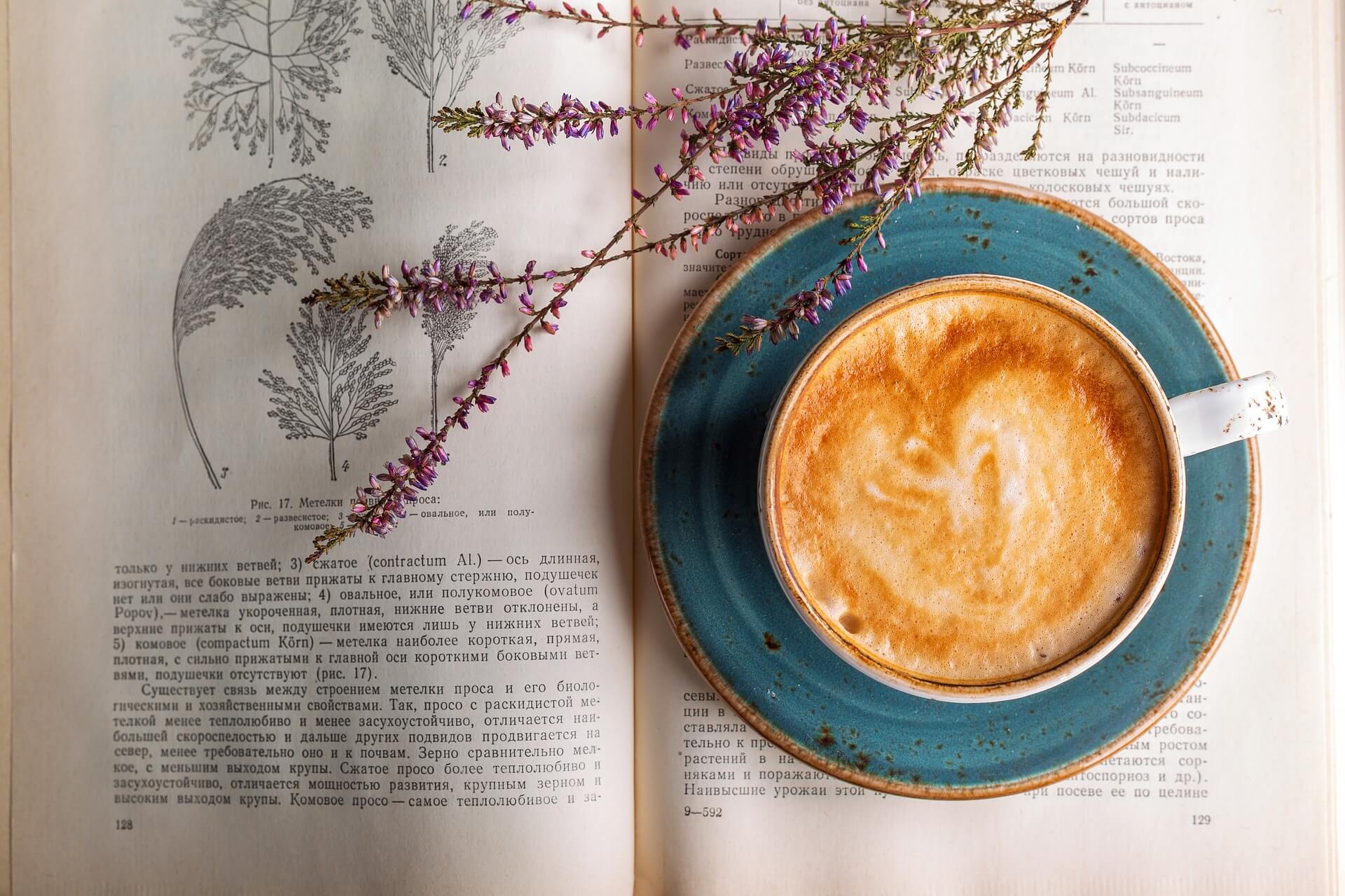 Angst vorm Schreiben - Kaffee auf einem Buch